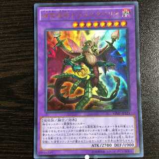 捕食植物ドラゴスタペリア ウルトラレア