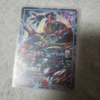 アカカゲ・レッドシャドウ　せんよう