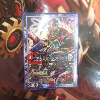 キャンペーン中！アカカゲ・レッドシャドウ