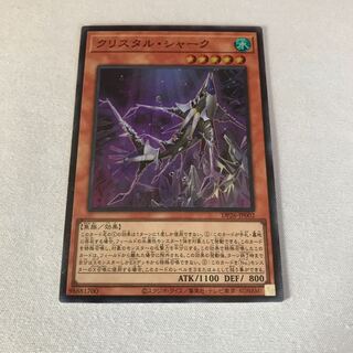 Kus Squirrel Tull Shark Super Rare JP002