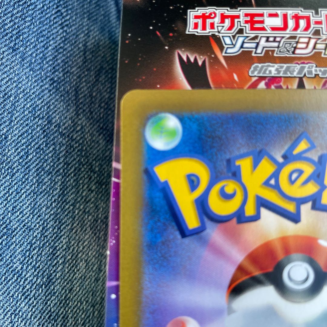 早い者勝ち！！　ガラルの仲間たち