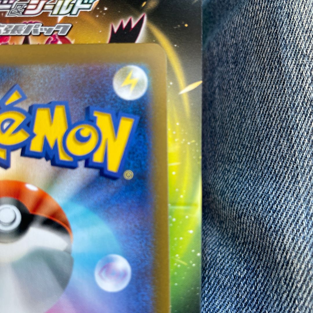 早い者勝ち！！　ガラルの仲間たち