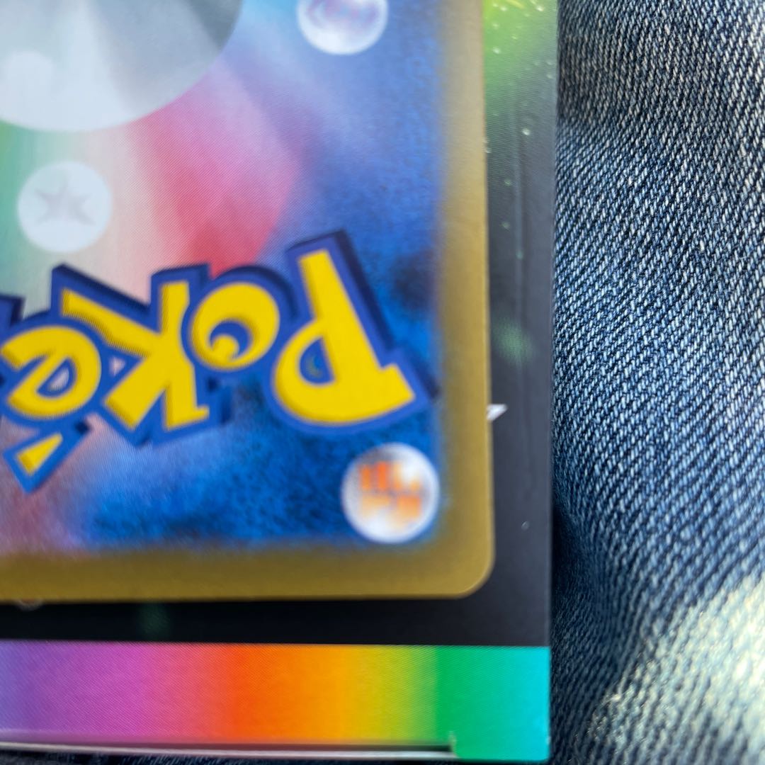 早い者勝ち！！　ガラルの仲間たち