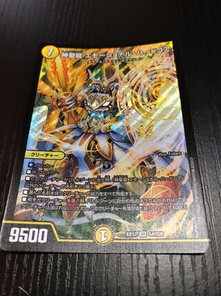 神聖龍 エモーショナル・ハードコア