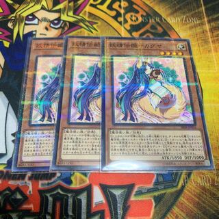 カグヤ ノーパラ3枚