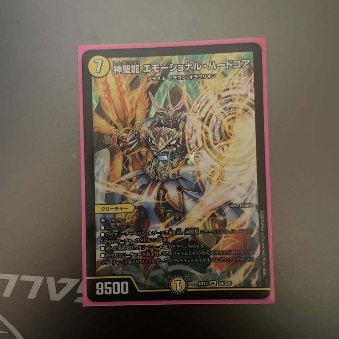 神聖龍 エモーショナル・ハードコア
