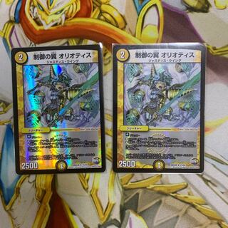 制御の翼オリオティス 2枚セット