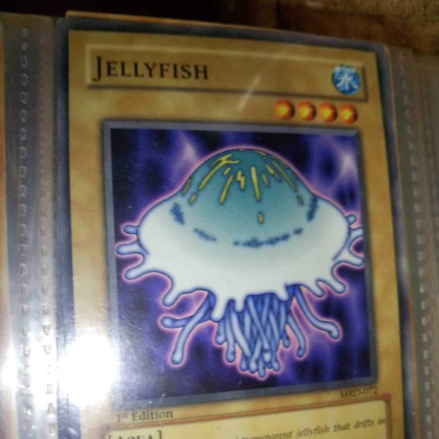 海月ージェリーフィッシュ[海外版]