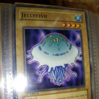 海月ージェリーフィッシュ[海外版]