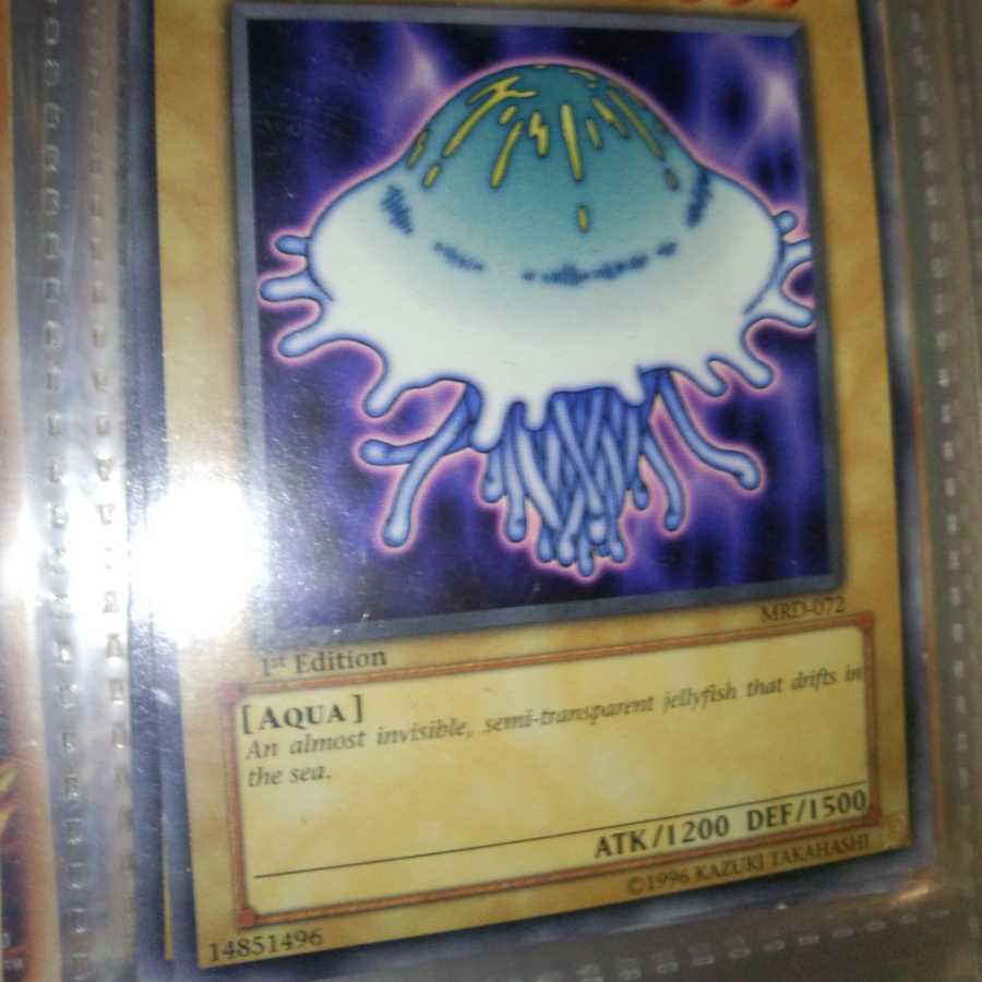 海月ージェリーフィッシュ[海外版]