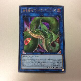 （微キズ）捕食植物ヴェルテ・アナコンダ　ウルトラレア