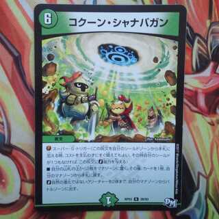 コクーン・シャナバガン