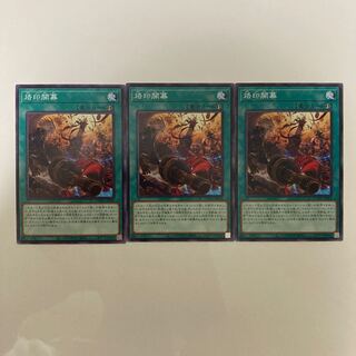 烙印開幕3枚セット