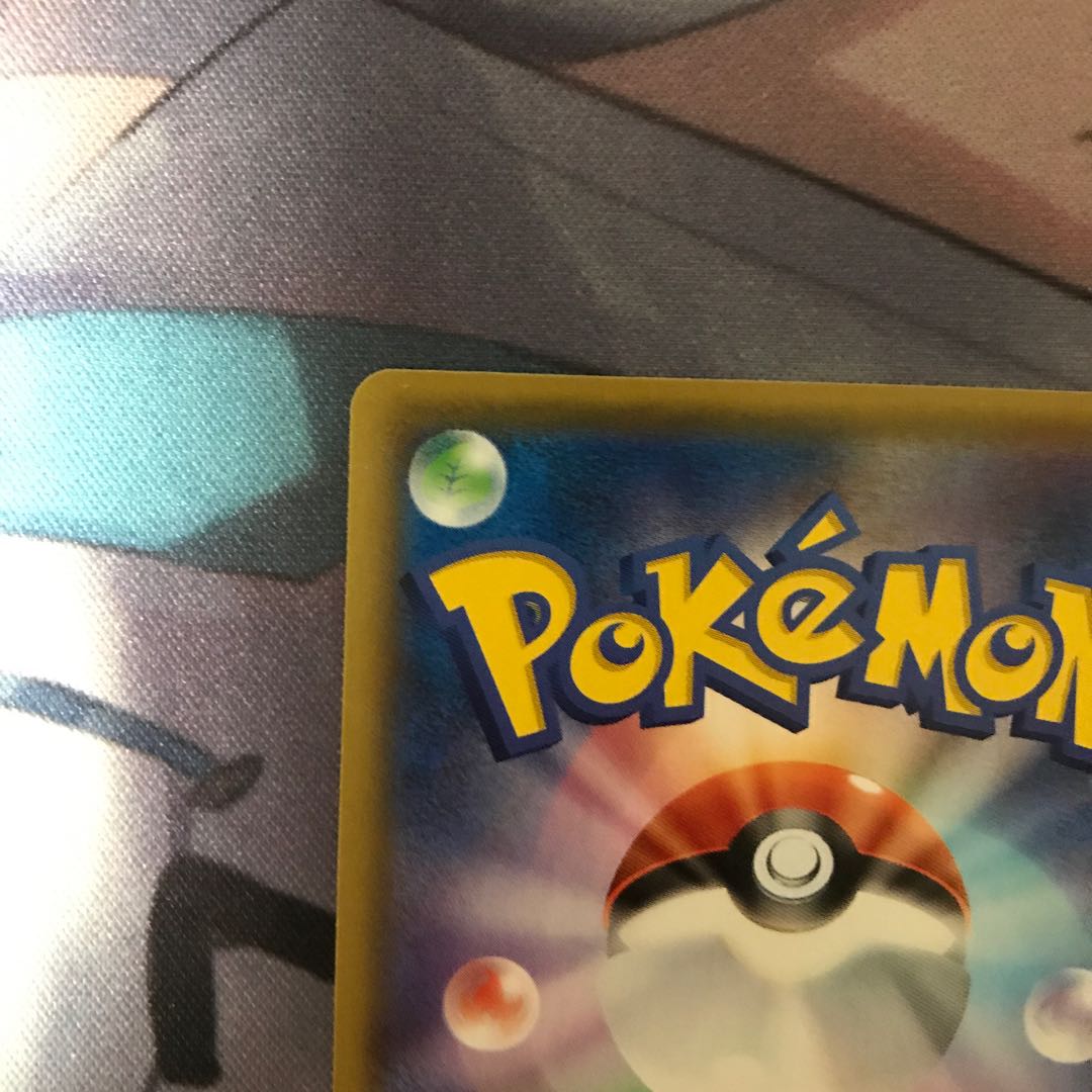 【超美品最安値】ガラルの仲間たち