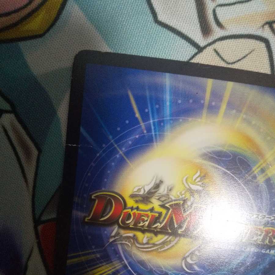 (専用)奇石 イシガネ|センキン・ウォール 、ソルハバキセット