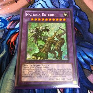 ナチュルエクストリオ 英語版