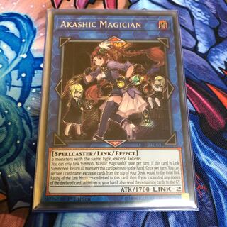 アカシックマジシャン EU シク