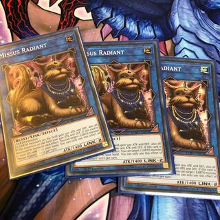 ミセスレディエント EU スーパー