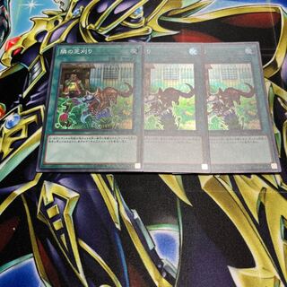 隣の芝刈り　162