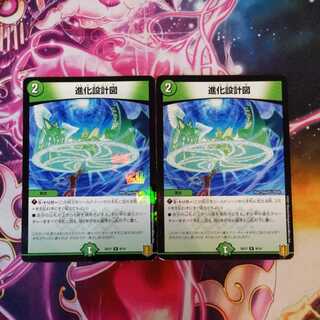 進化設計図 R-foil　２枚