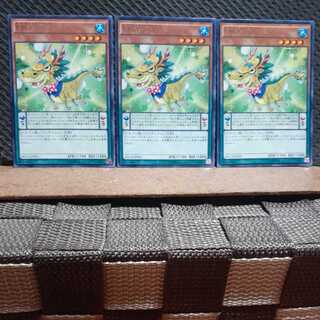 Popotan] Yu-Gi-Oh 1792 Performapal Coin Dragon 3-Card Set