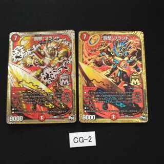 “罰怒”ブランド シク通常 CG002 2枚セット