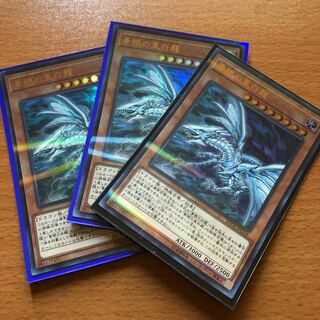 青眼の亜白龍 ウルパラ3枚