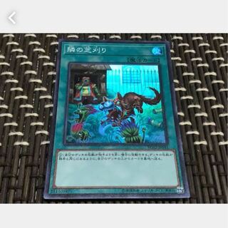 【ぽぽたん】遊戯王 隣の芝刈り スーパー