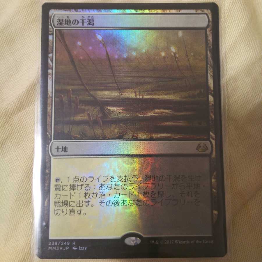 湿地の干潟(MM3・Foil版)