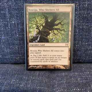 すべてを護るもの、母聖樹 1枚 神河物語