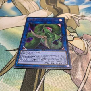 捕食植物ヴェルテアナコンダ