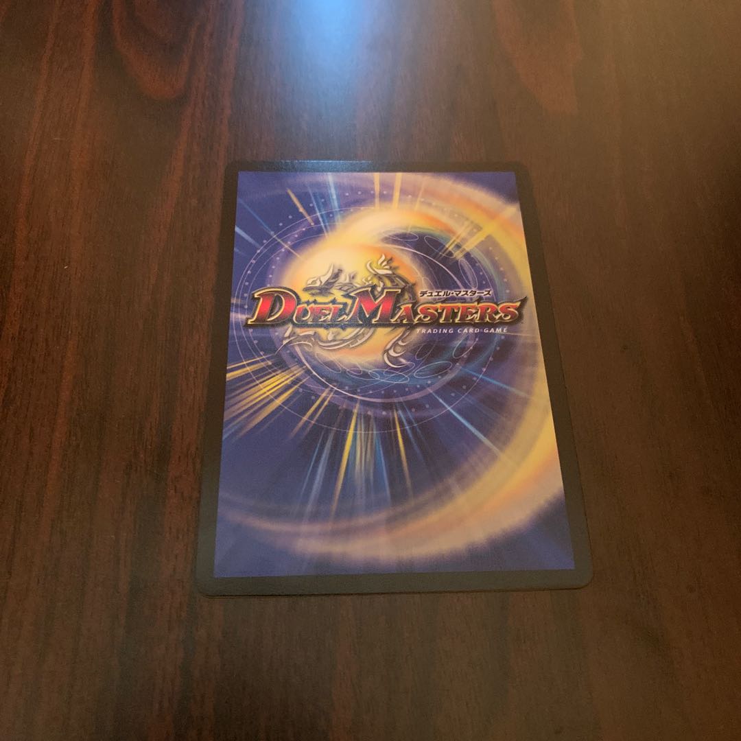 やまちゃん様専用 1枚