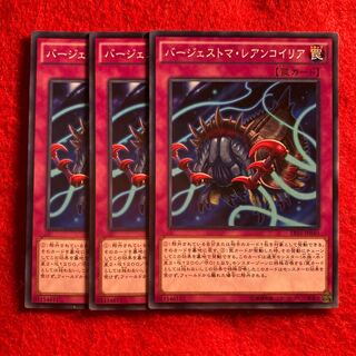 バージェストマ・レアンコイリア☆4045