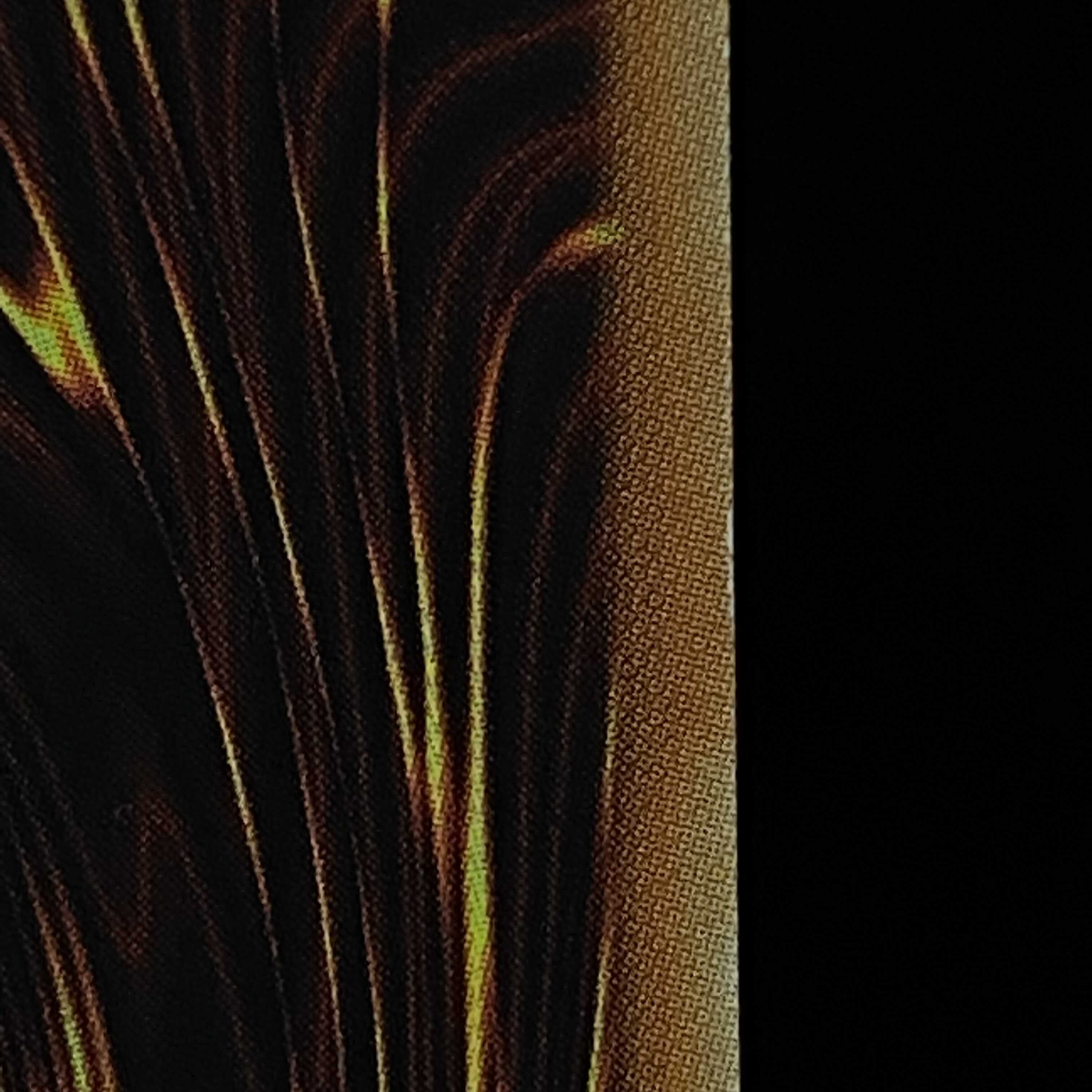 Wynn the Wind Charmer, Verdant 20th Secret Rare