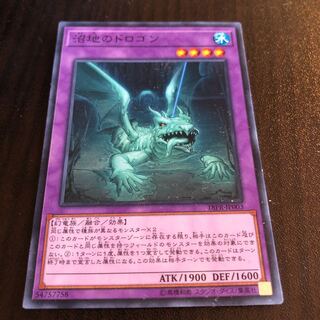 沼地のドロゴン