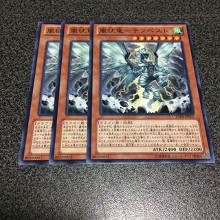 嵐征竜ーテンペスト【N】