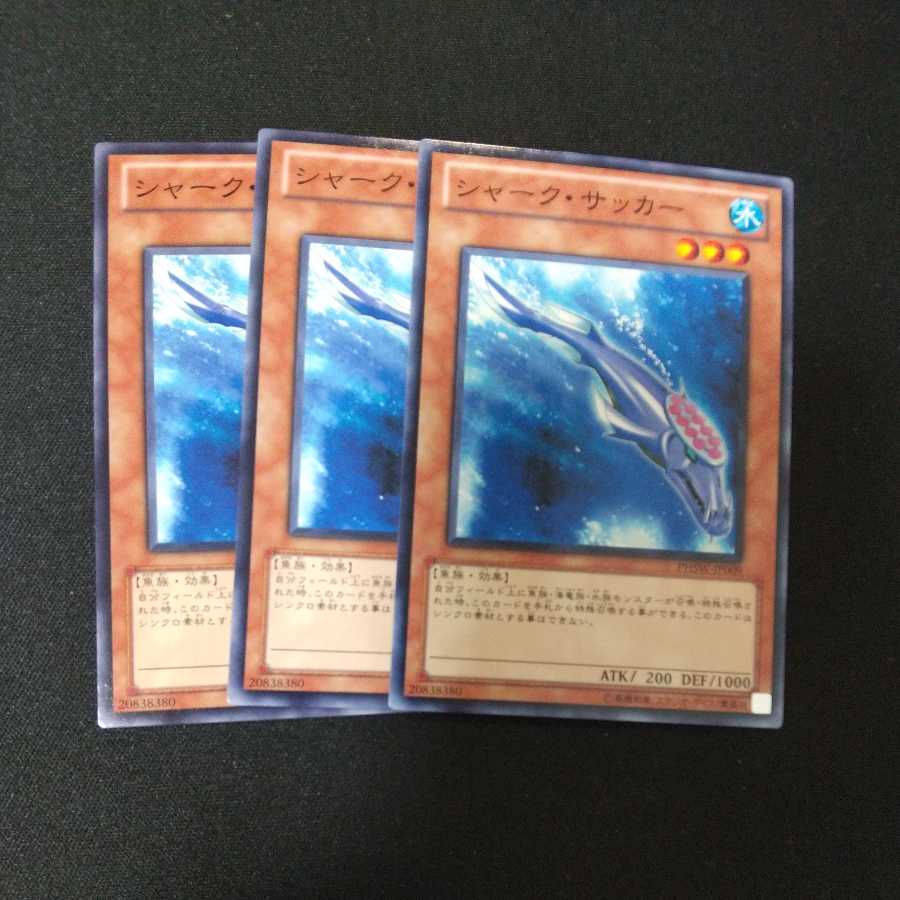 シャーク・サッカー ノーマル