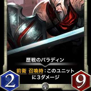 歴戦のパラディン Lv30