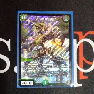 ブラキオ龍樹 1枚