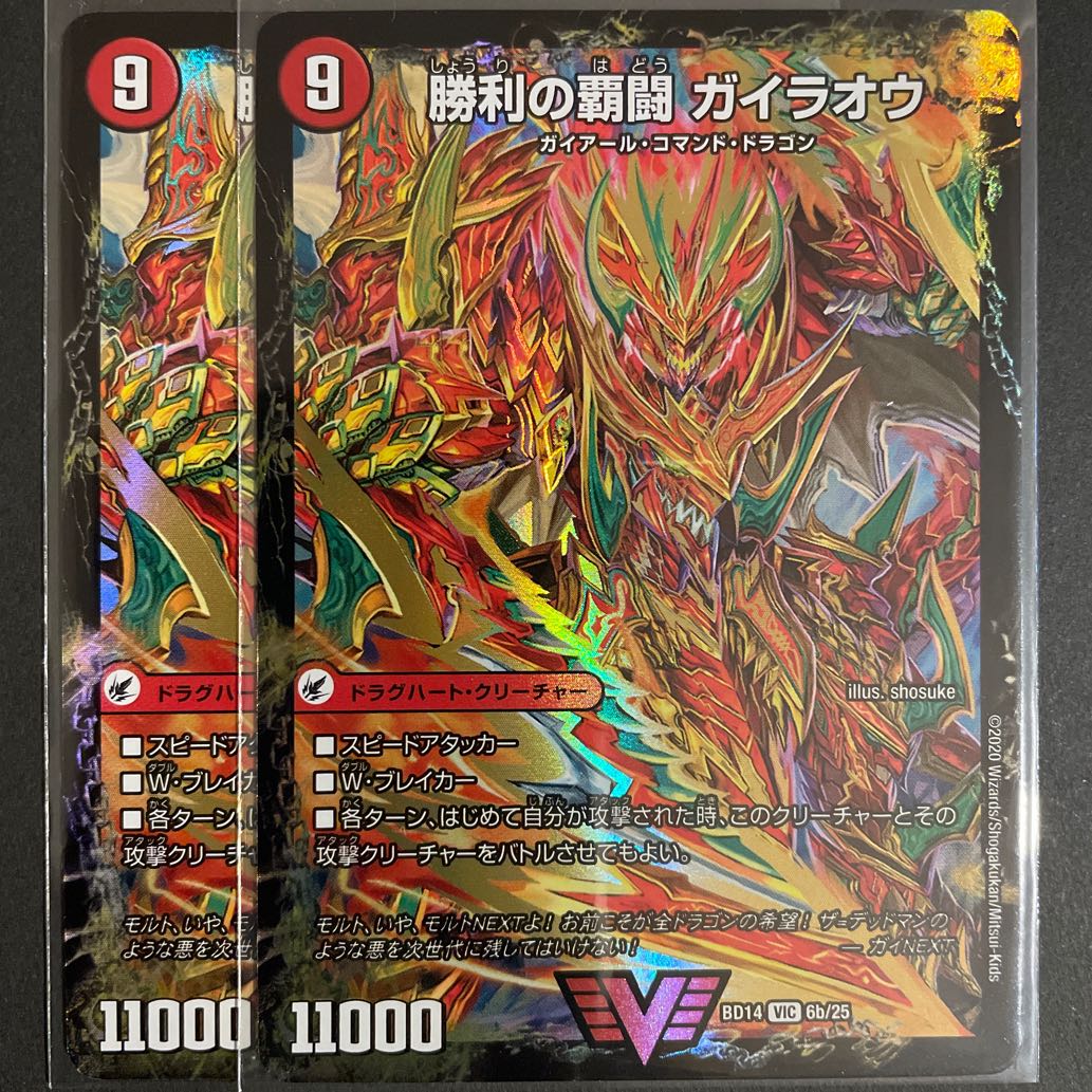 覇闘将龍剣 ガイオウバーン|勝利の覇闘 ガイラオウ 2枚