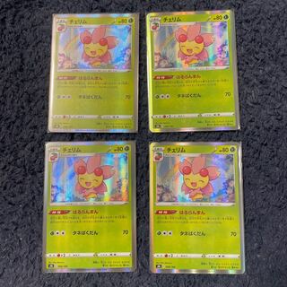 チェリム(R仕様) 4枚