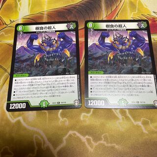 樹食の超人　2枚