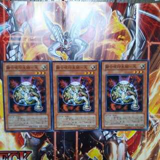 融合呪印生物-光