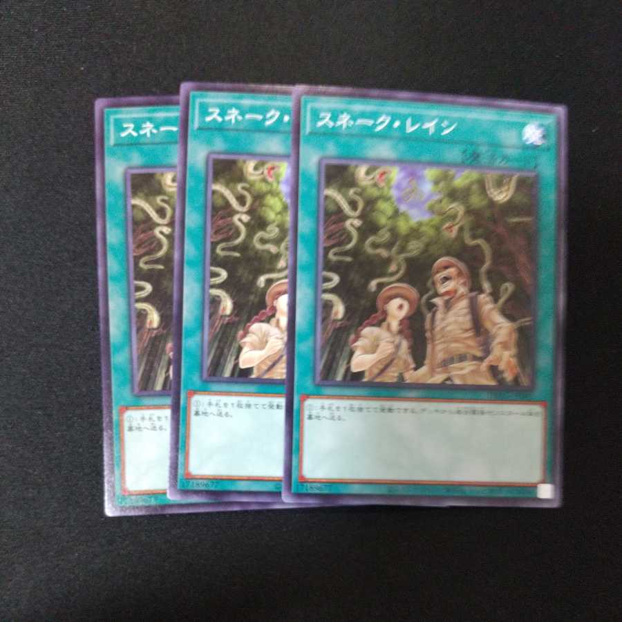 スネーク・レイン ノーマル