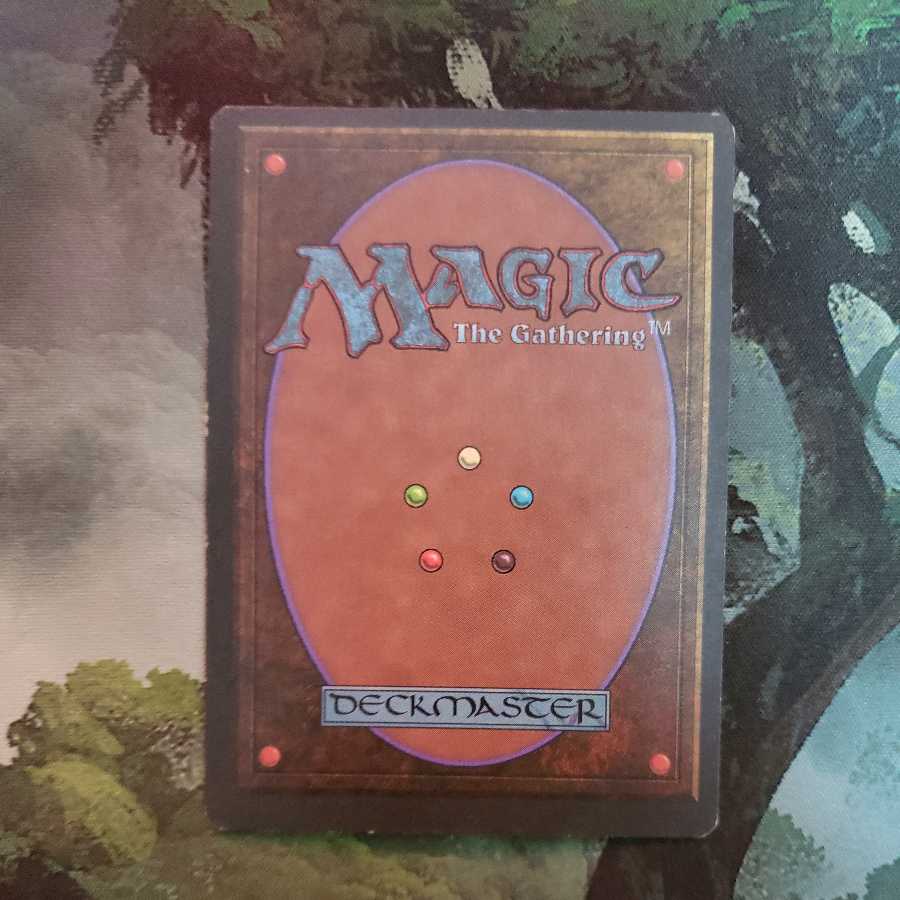 羽ばたき飛行機械【日本語】【黒枠】