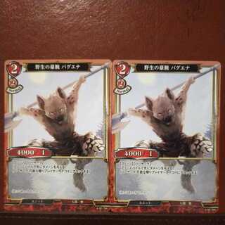 HK192 Set Discount Wild Life Brawn Baguena