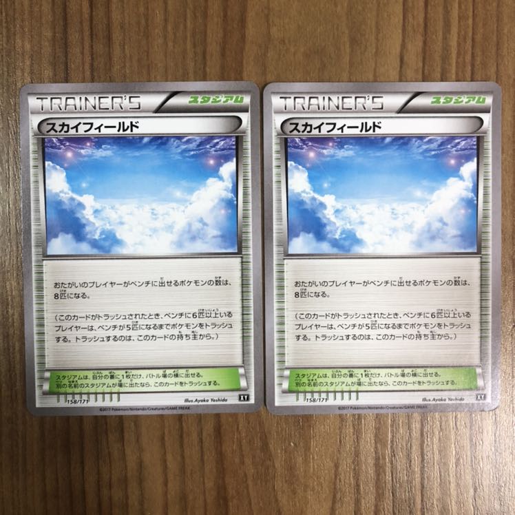 専用出品　サクス様　スカイフィールド　2枚セット1