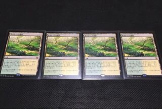 吹きさらしの荒野 日本語 4枚セット