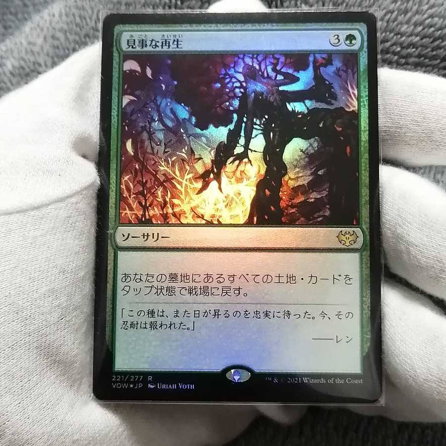 Splendid Reclamation Rare (Crimson Reclamation)FOIL