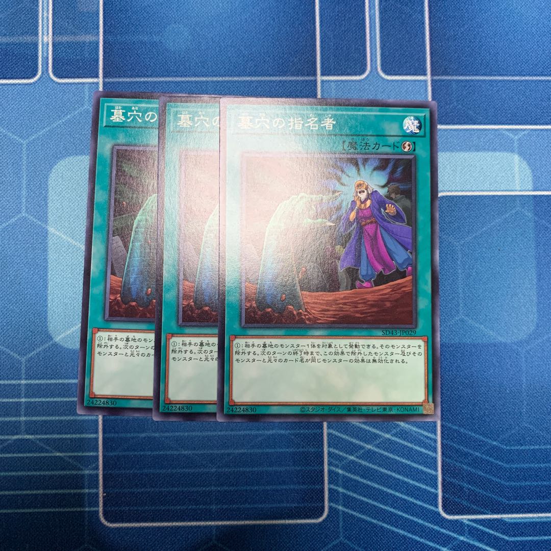 墓穴の指名者 ノーマル 専用